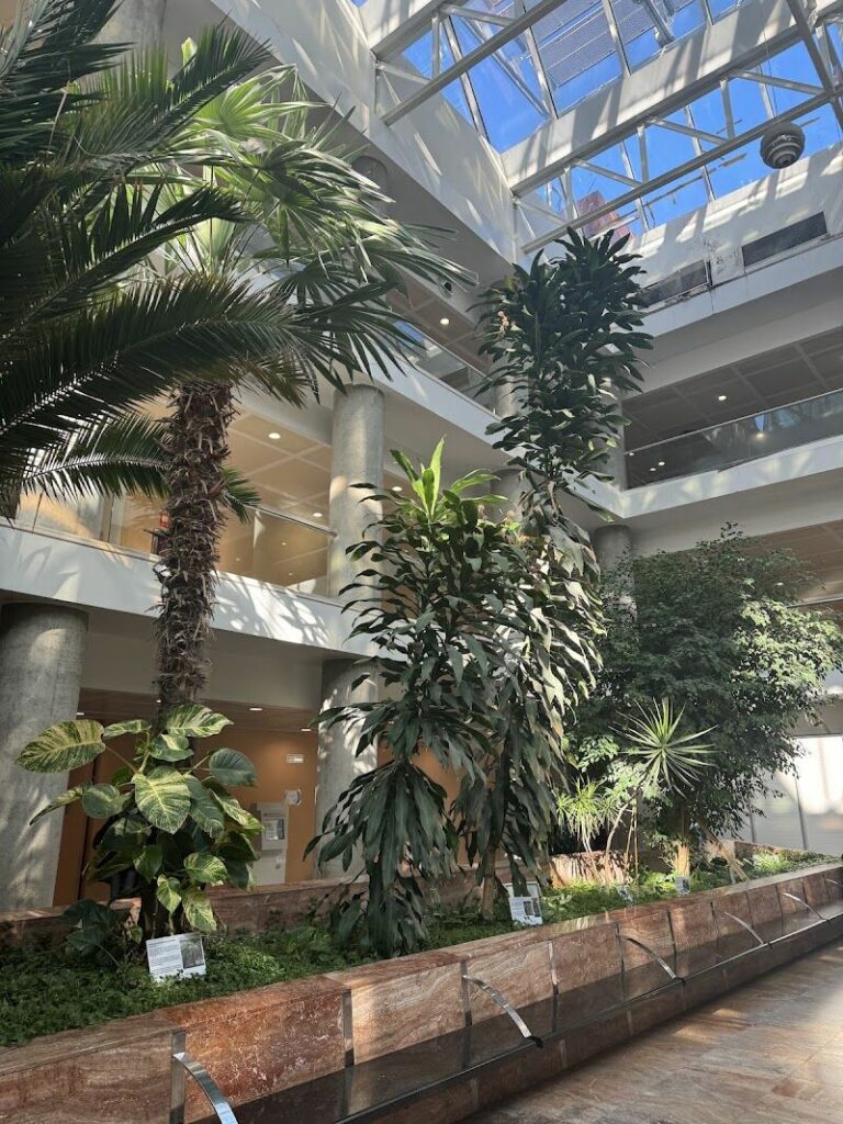 Imagen de Hospital Universitario Fundación Alcorcón