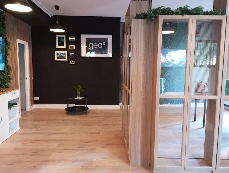 Imagen de Gea Studios Ia