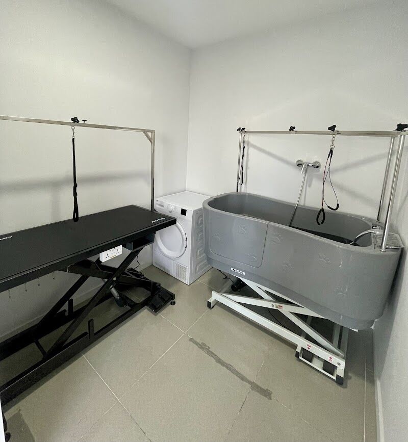 Imagen de Clínica Veterinaria Vet’s Friends