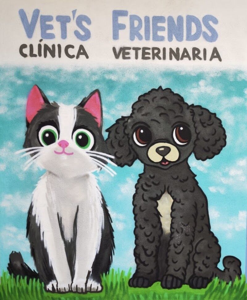 Imagen de Clínica Veterinaria Vet’s Friends