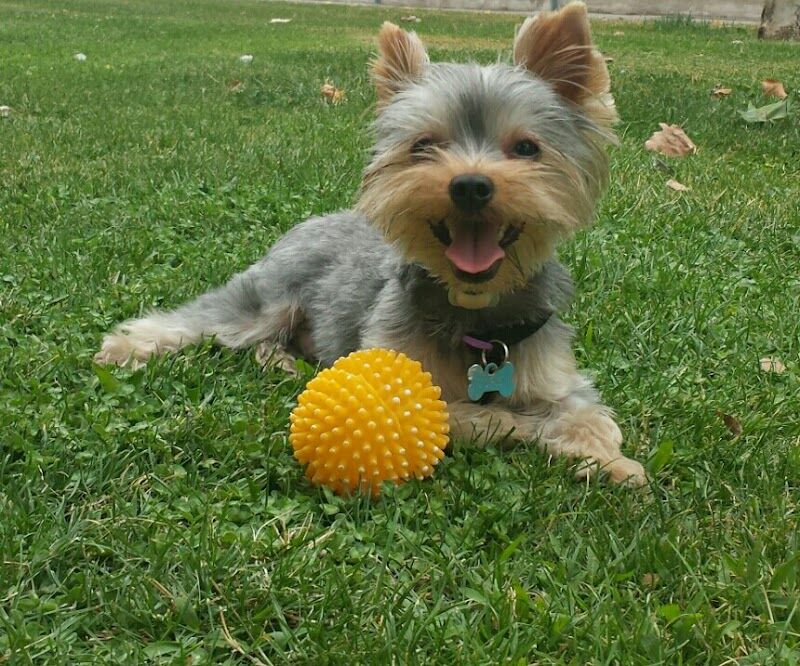 Imagen de El Rincón de Isi