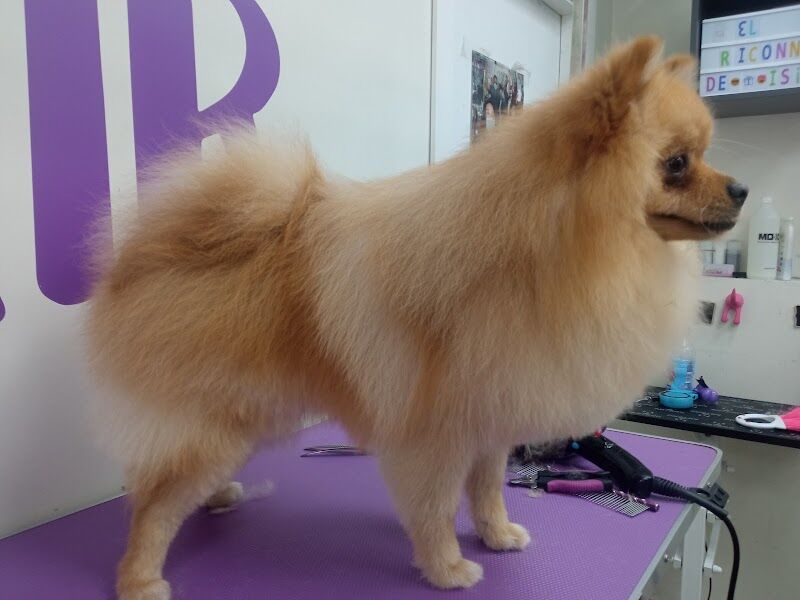 Imagen de El Rincón de Isi