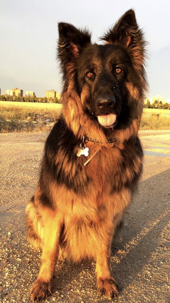 Imagen de El Rincón de Isi