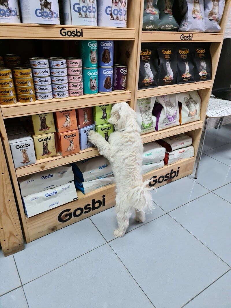 Imagen representativa de la localización