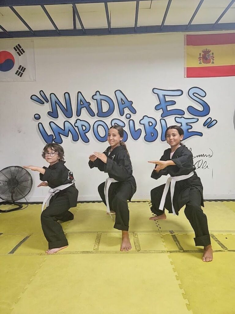 Imagen de Club Hapkido Mugin Madrid, Getafe Artes Marciales