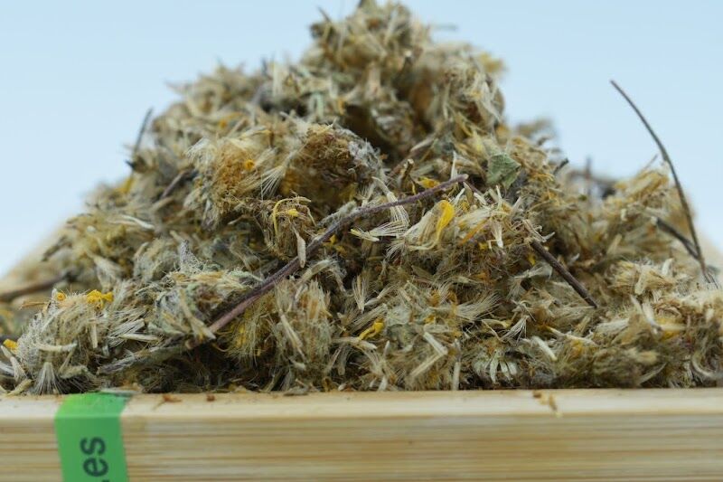 Imagen de Mi Ruta Natural