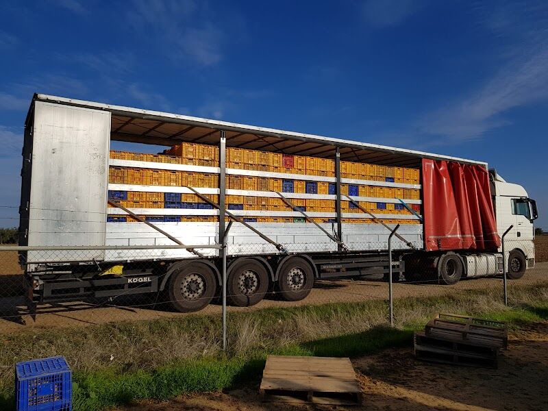 Imagen de negocio en Transporte y logística en Sevilla