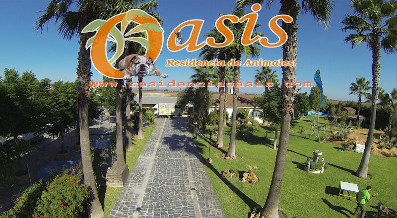 Imagen de Residencia de Animales Oasis