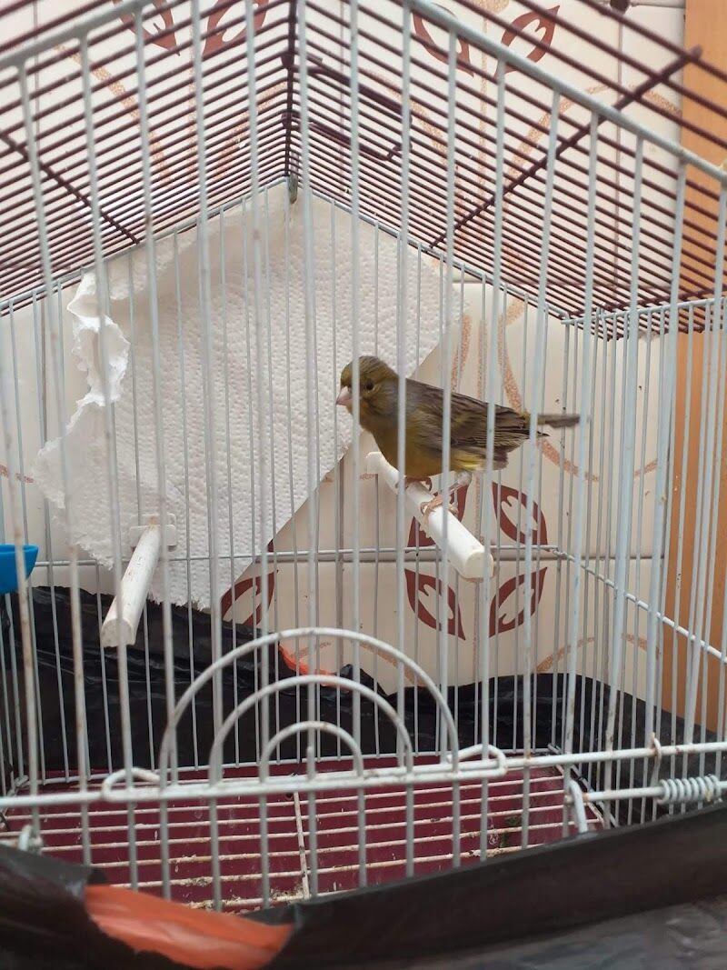 Imagen de negocio en Alimentación animal en Alcalá de Guadaíra