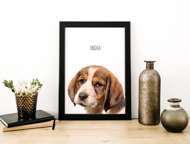 Imagen de La Huella de Andy – Érika Donoso