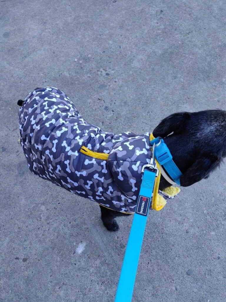 Imagen de Petuso , Amor y Mascotas