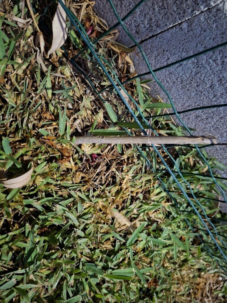 Imagen de Alvi Control Integral Plagas