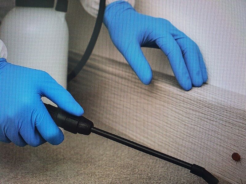 Imagen de Alvi Control Integral Plagas