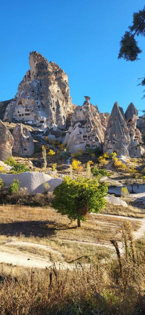 Imagen de Viajes Arroyo