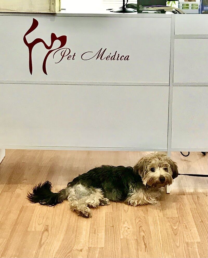 Imagen de Pet Médica Veterinaria