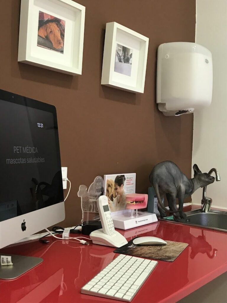 Imagen de Pet Médica Veterinaria