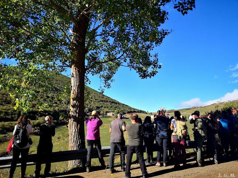 Imagen de Escuela Superior de Medio Ambiente