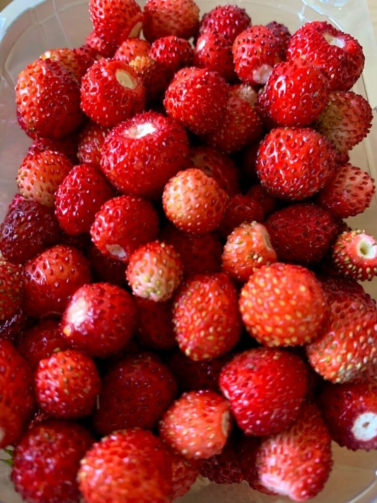 Imagen de Frutas Marfigue