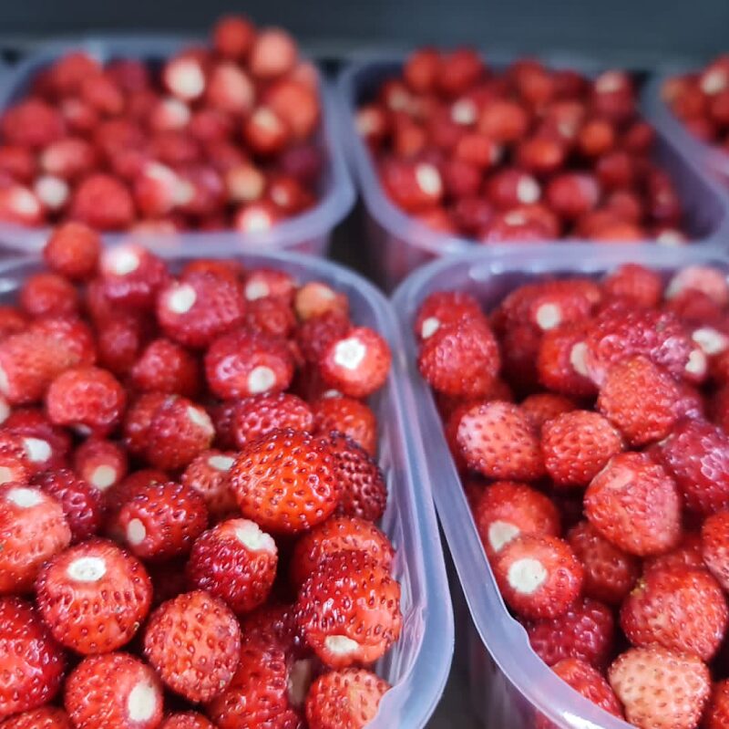 Imagen de Frutas Marfigue