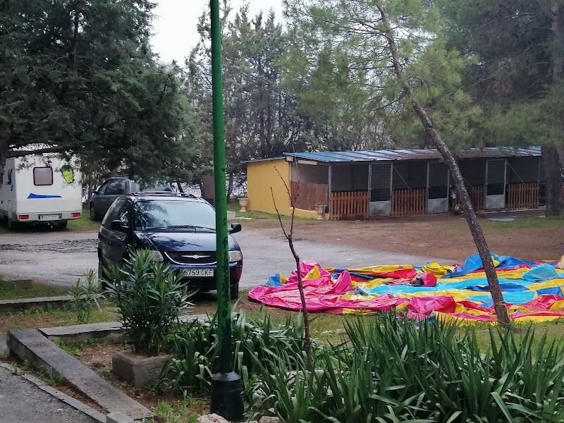 Imagen de Entrepinos Hotel Canino