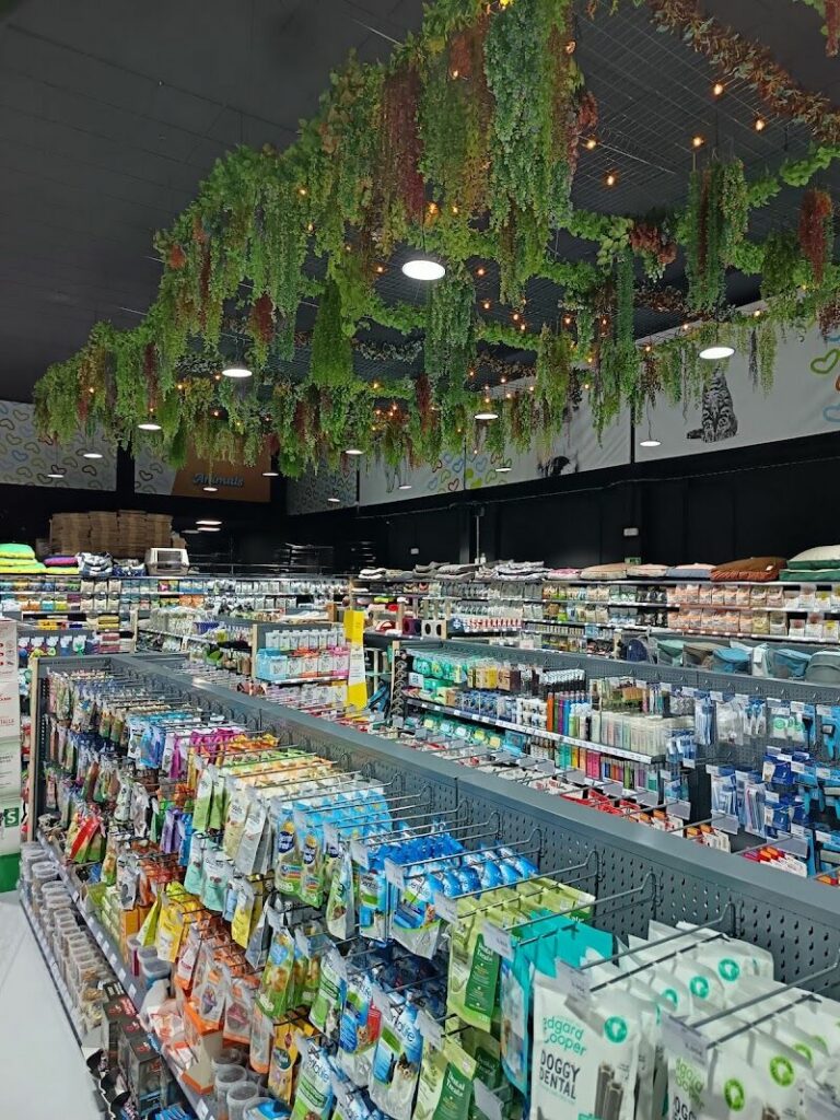 Imagen de Qanimals Móstoles