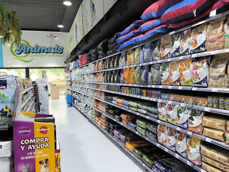 Imagen de Qanimals Móstoles