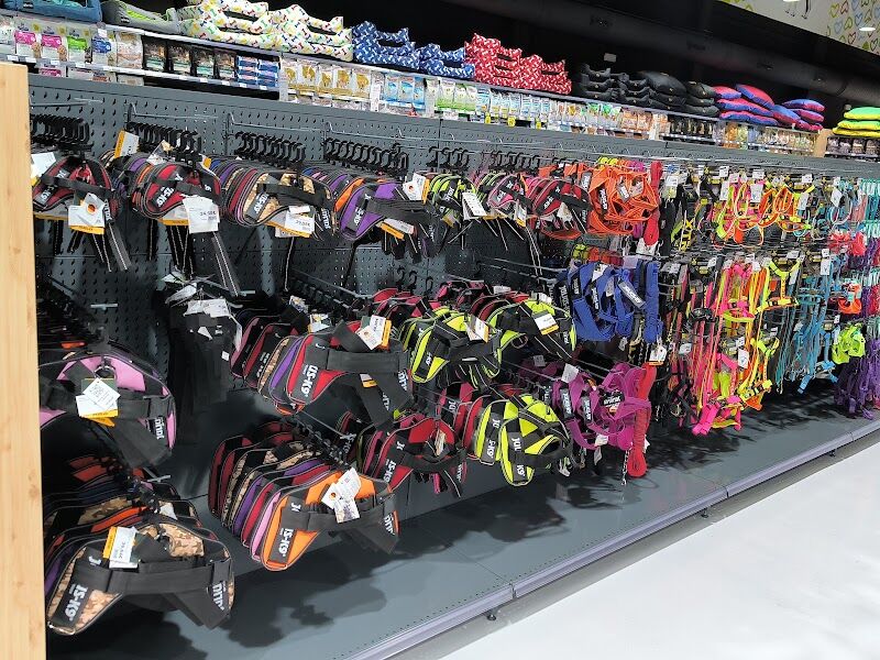 Imagen de Qanimals Móstoles