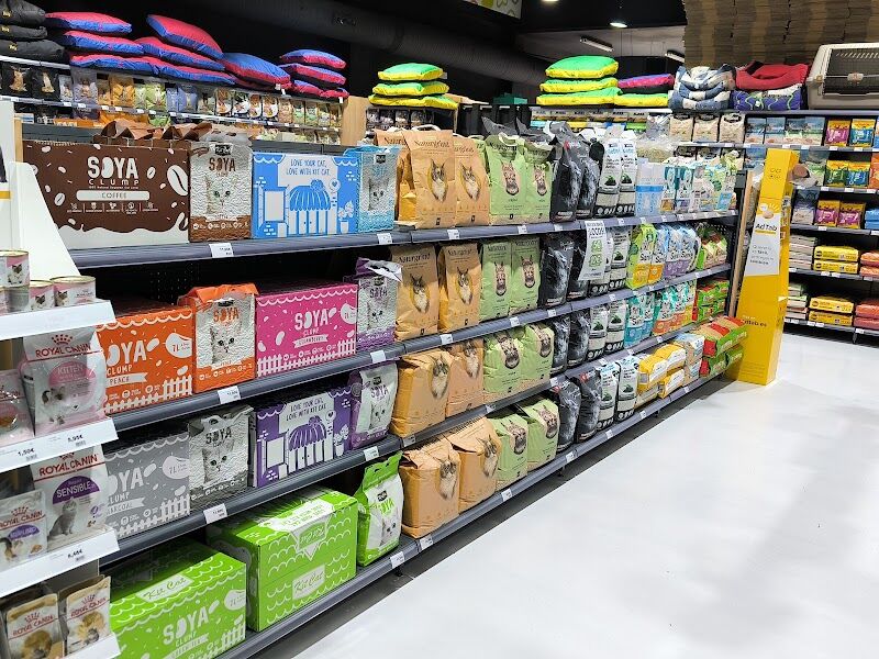 Imagen de Qanimals Móstoles