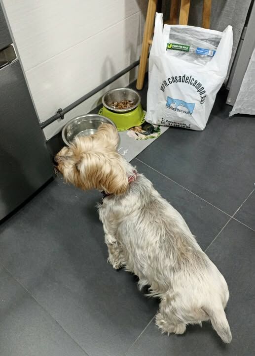 Imagen de negocio en Veterinaria en Fuenlabrada