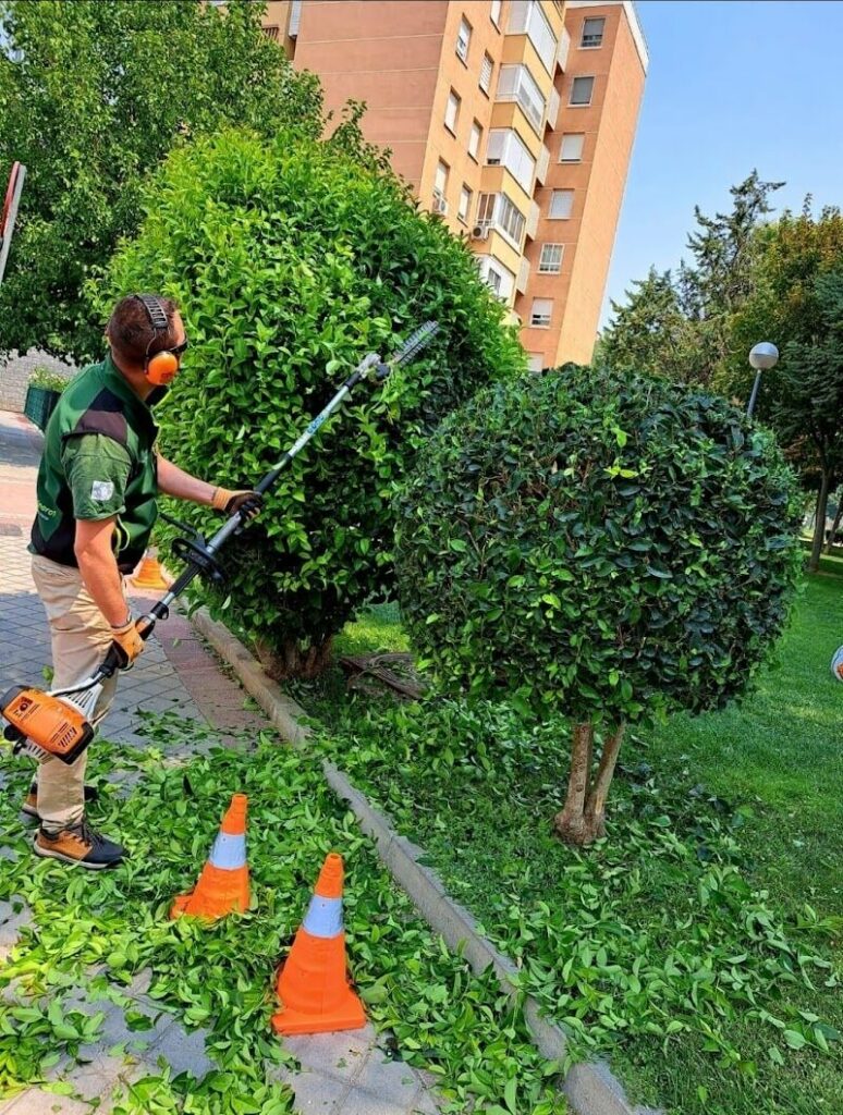 Imagen de Grupo Jardín Kasas S.l.u