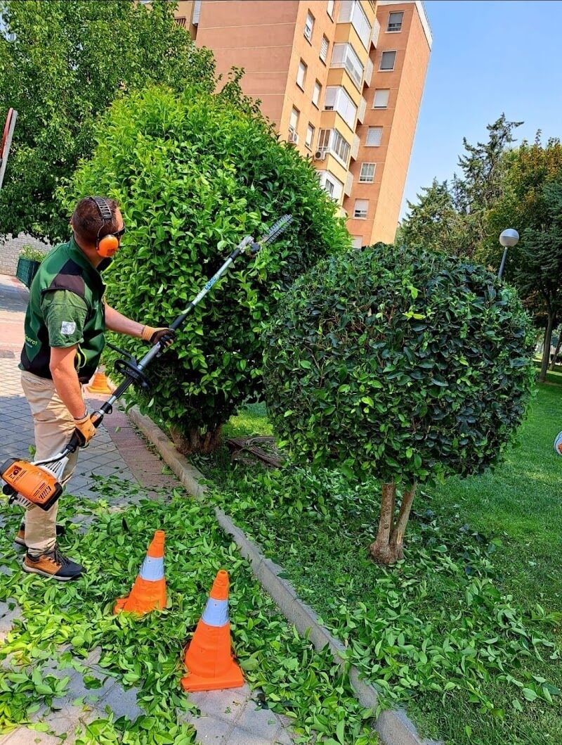 Imagen de negocio en Jardinería en Provincia de Madrid