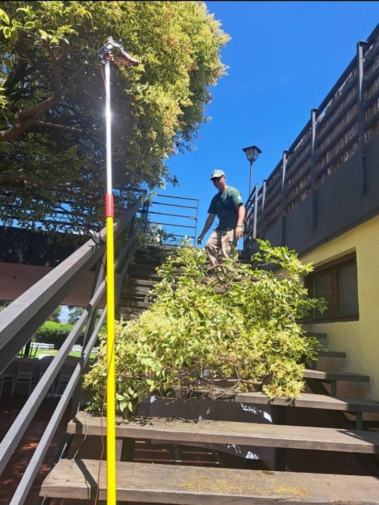 Imagen de Grupo Jardín Kasas S.l.u