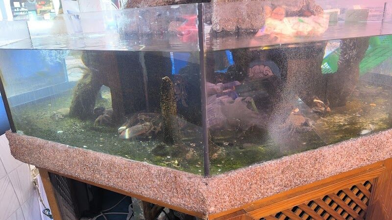 Imagen de Mar Bravo 2000 Sl