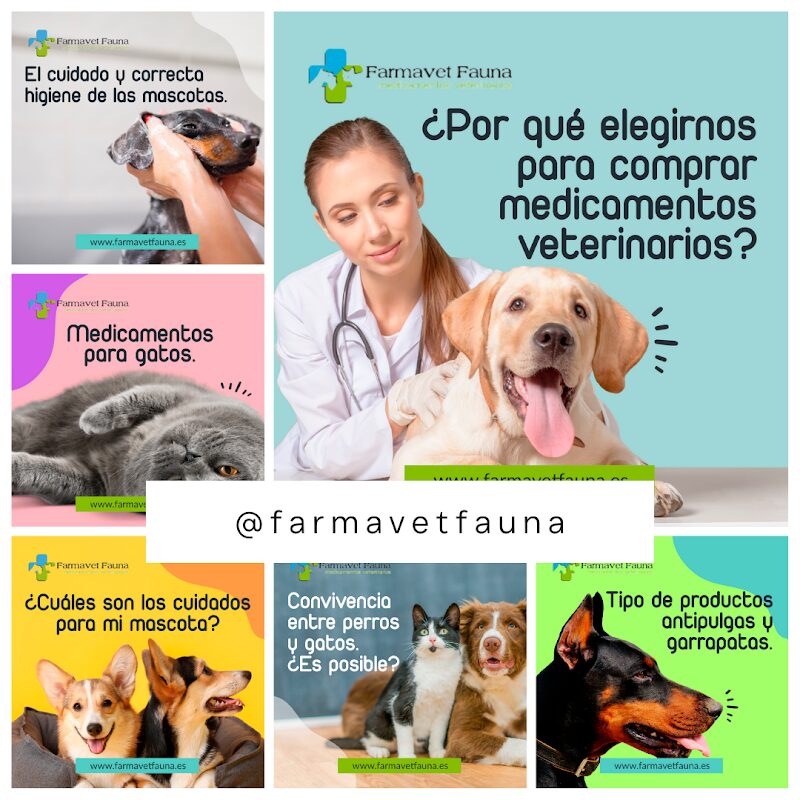 Imagen de Expertig Marketing Digital