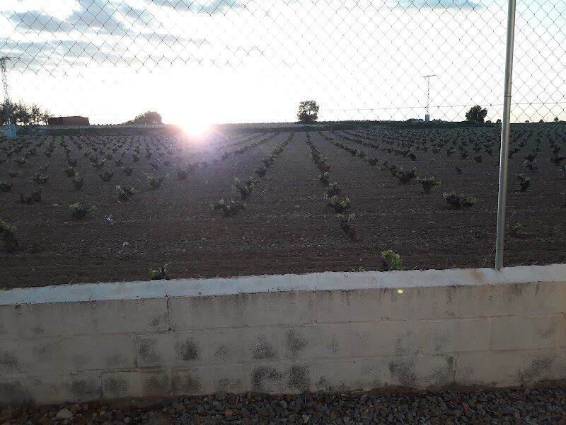 Imagen de Plaza del Socorro