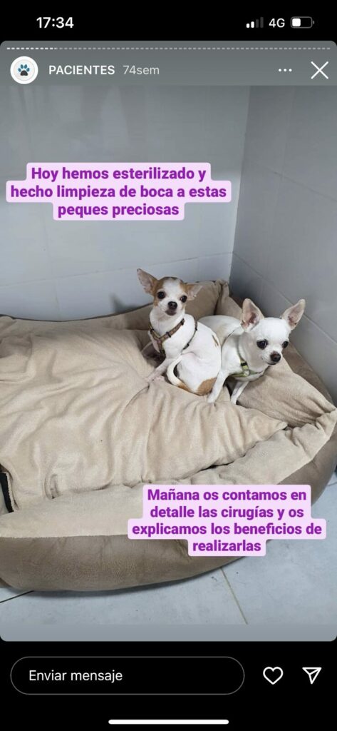 Imagen de Am Veterinarias a Domicilio
