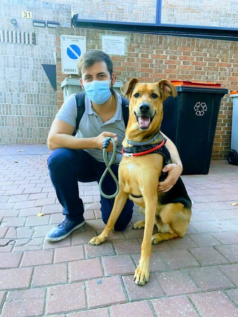 Imagen de Adiestrador Madrid