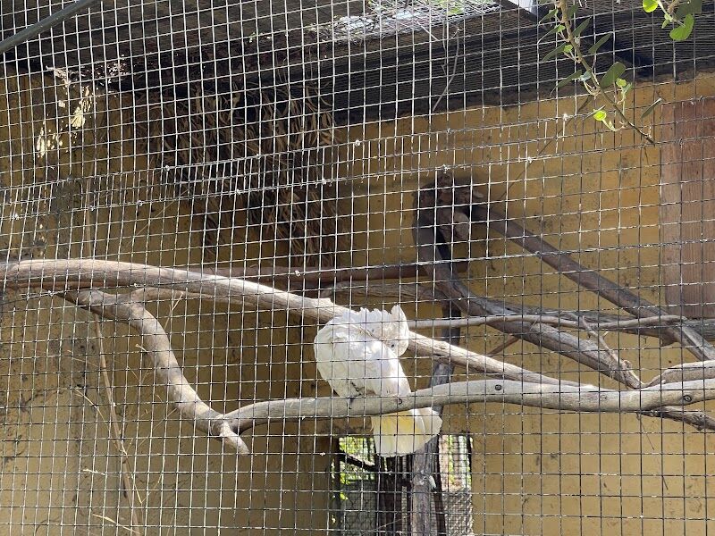 Imagen de Camping Privado Caravan Garden