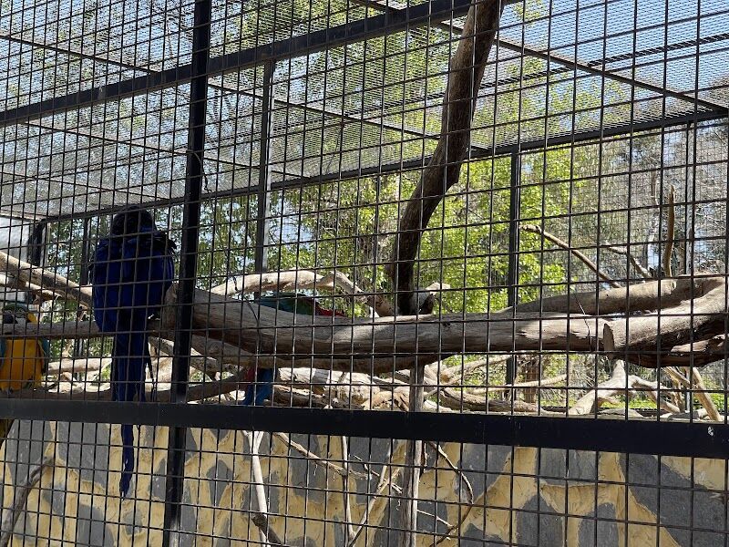 Imagen de Camping Privado Caravan Garden