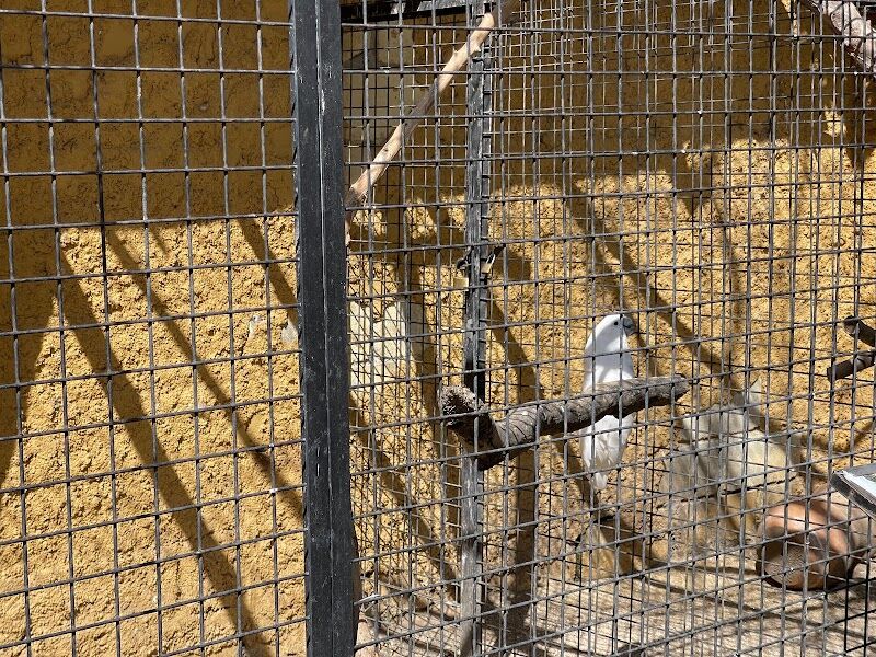 Imagen de Camping Privado Caravan Garden