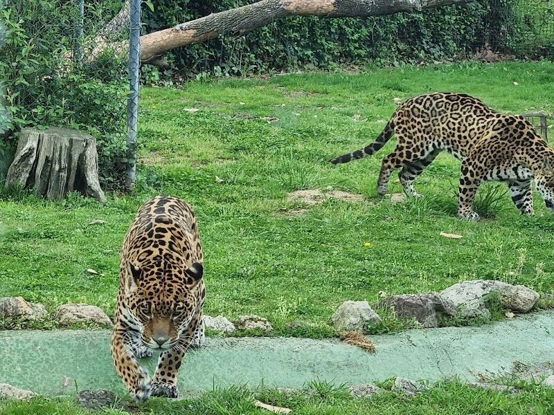 Imagen de Camping Privado Caravan Garden