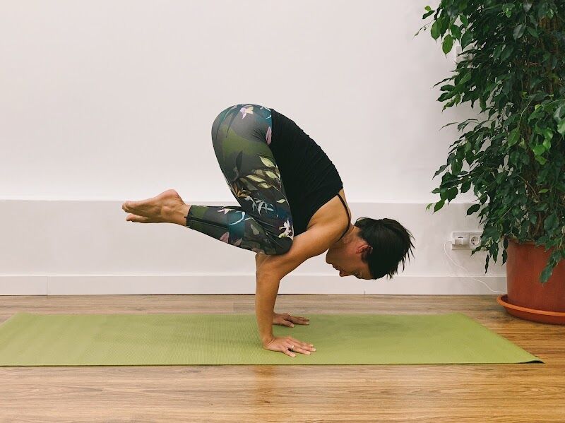 Imagen de Selva Life Studio