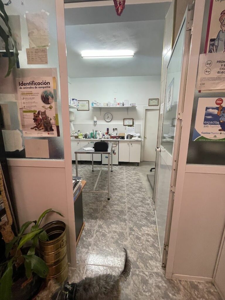 Imagen de Clínica Veterinaria Alazores