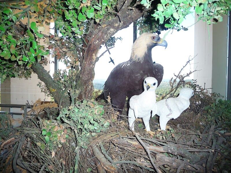 Imagen representativa de la localización