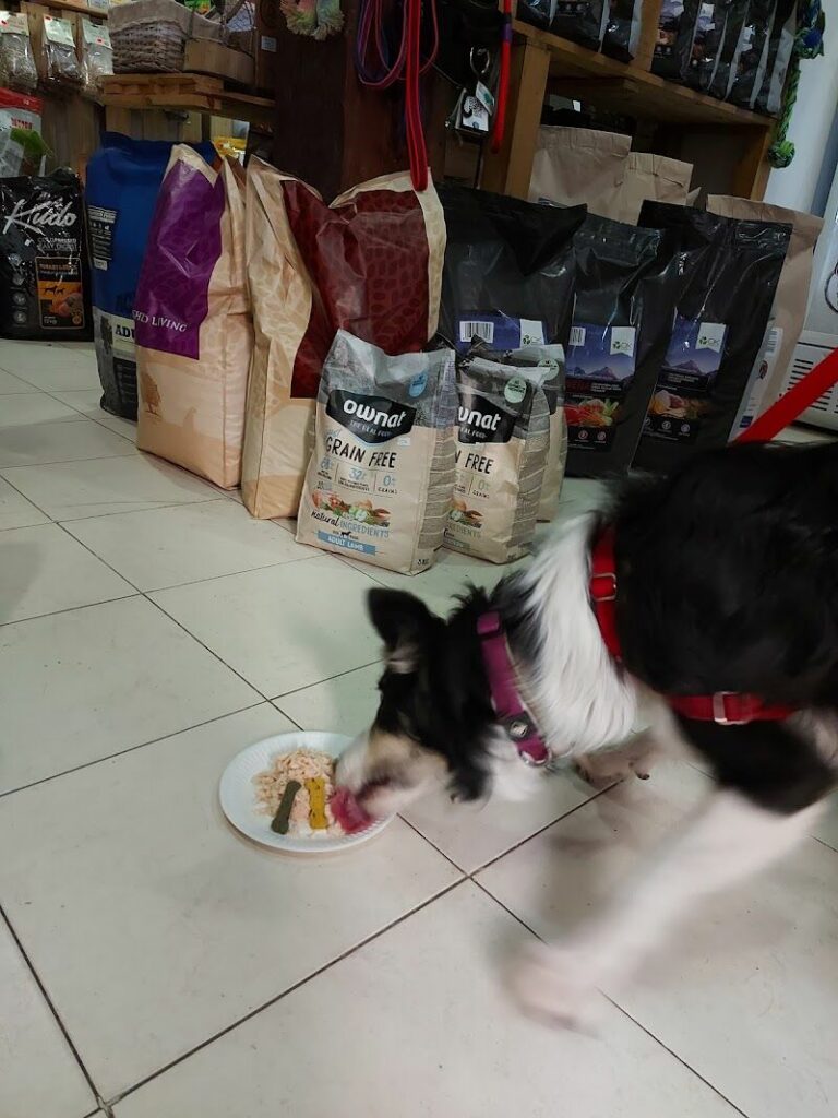 Imagen de Ok Mascota Lavapiés (avarco Shopping Sl)