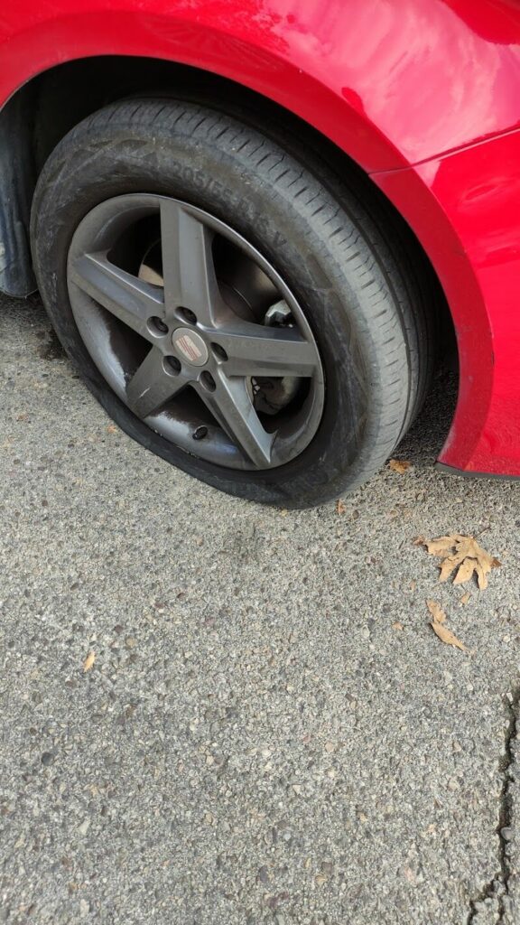 Imagen de Soloruedas Rivas