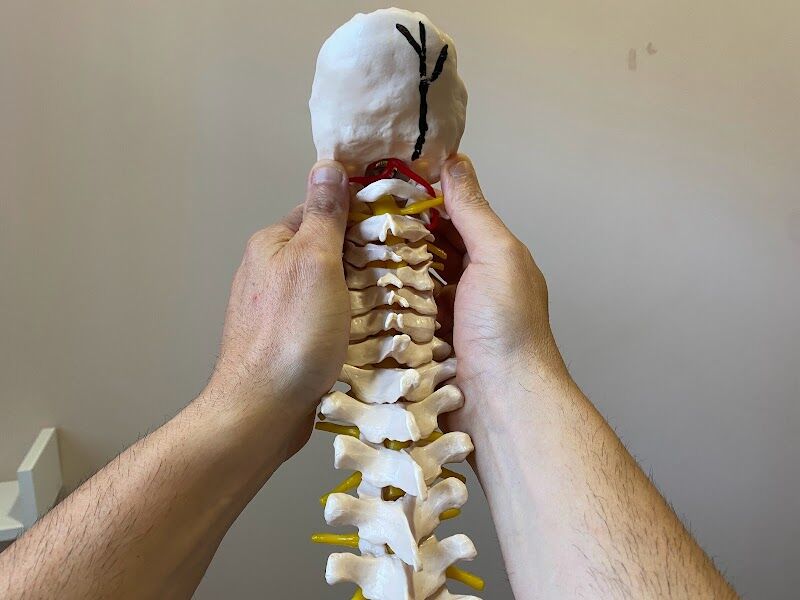 Imagen de Centro de Fisioterapia y Osteopatia Gustavo Martín.osteopata en Mostoles