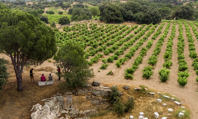 Imagen representativa de la localización