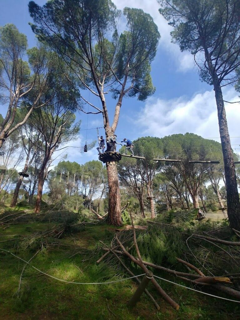 Imagen de Aventura Amazonia Pelayos. Parque de Multiaventura y Tirolinas para Adultos y Niños. Despedidas, Cumples y Teambuilding