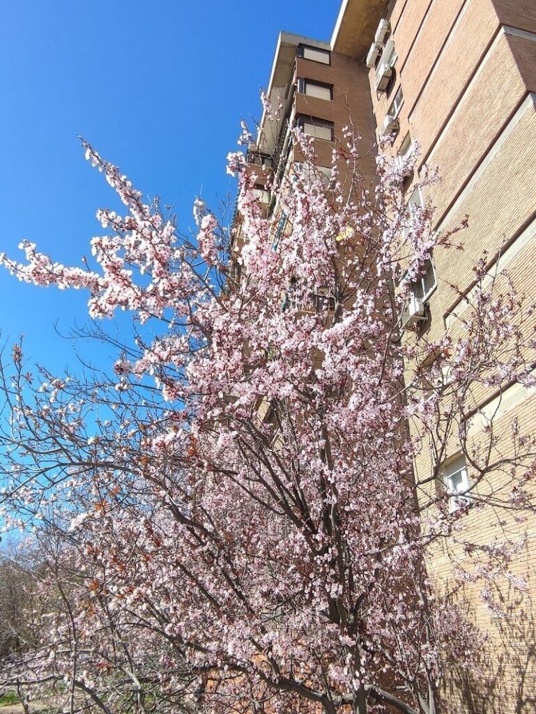 Imagen de Terapia de Pareja Espiral Psicoterapia